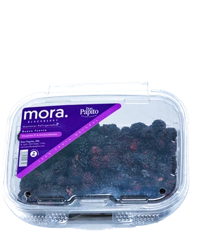 Moras Frescas Don Papito